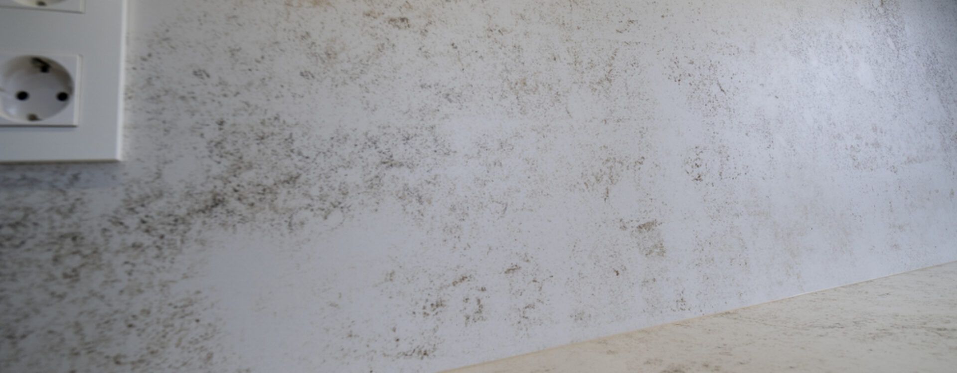 Cocina en Forma de L Blanca y Madera Suarco
