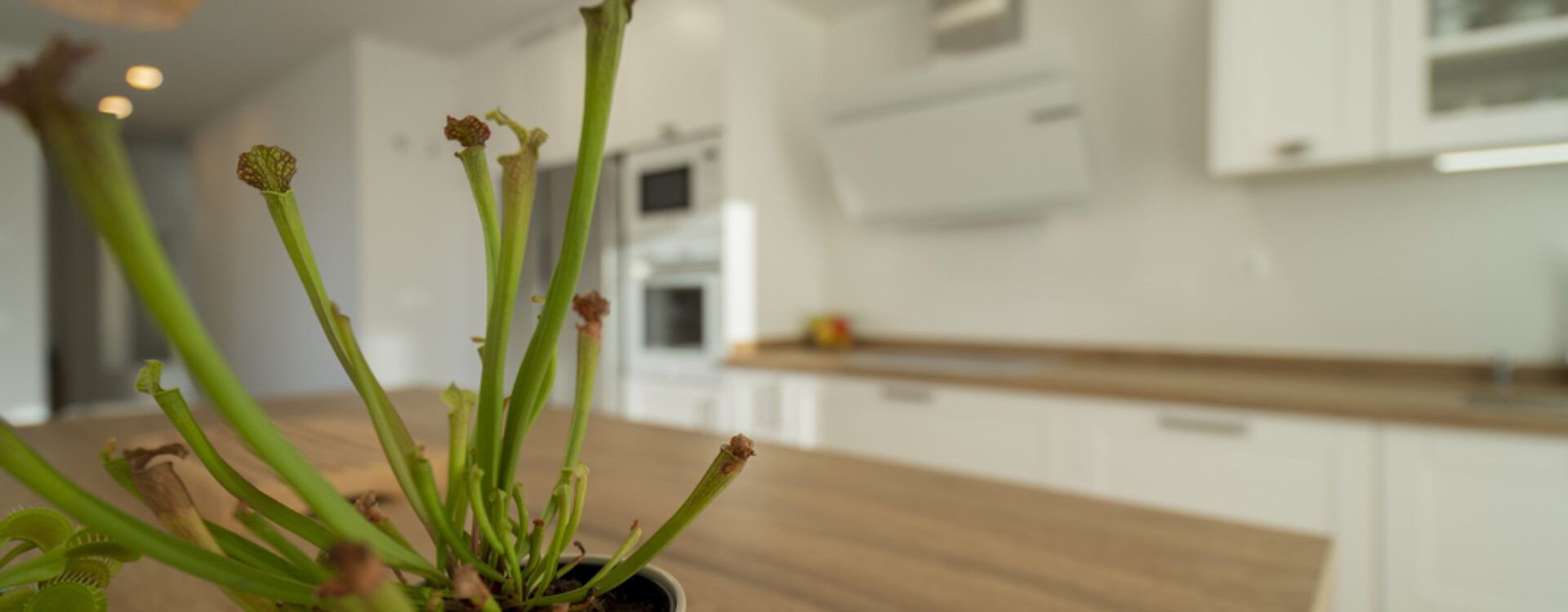 Cocina blanca con isla y encimera de madera. Cocinas Suarco